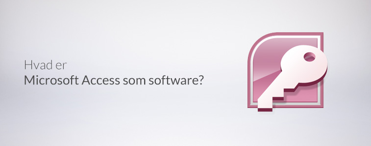 Hvad er Microsoft Access som software?